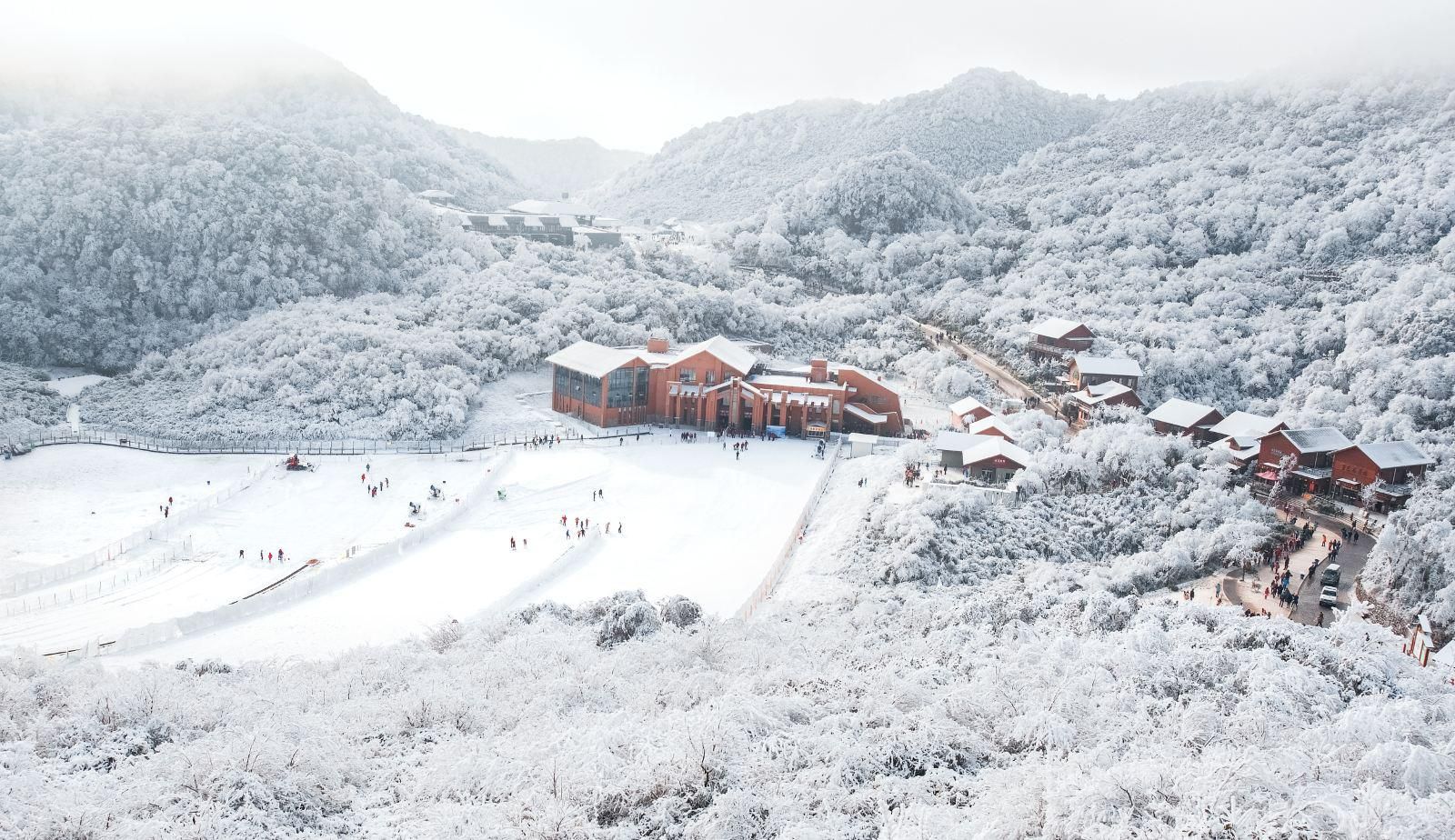 来重庆看雪景必去的景点-金佛山