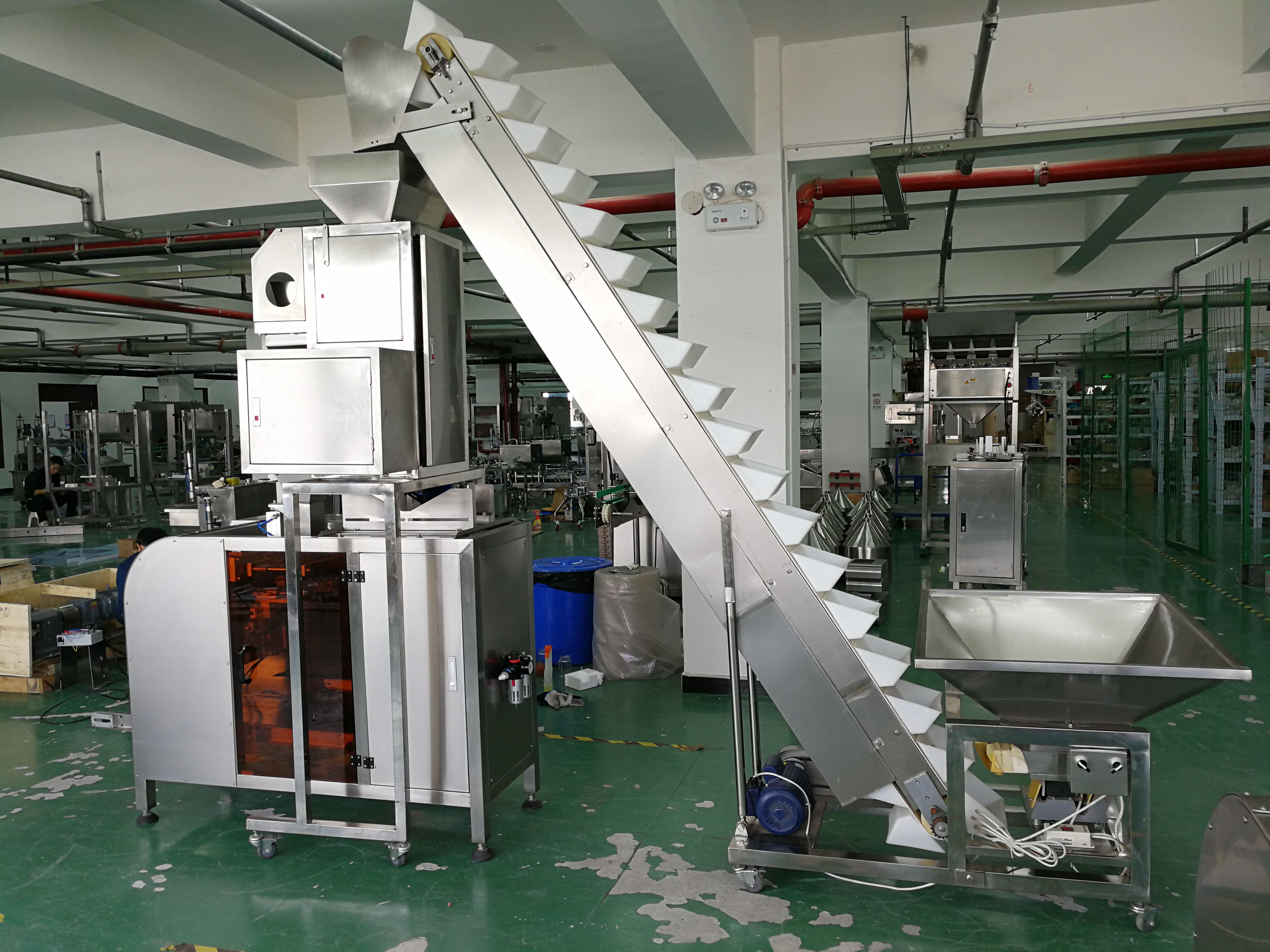 红枣包装机设备-全自动红枣包装机械