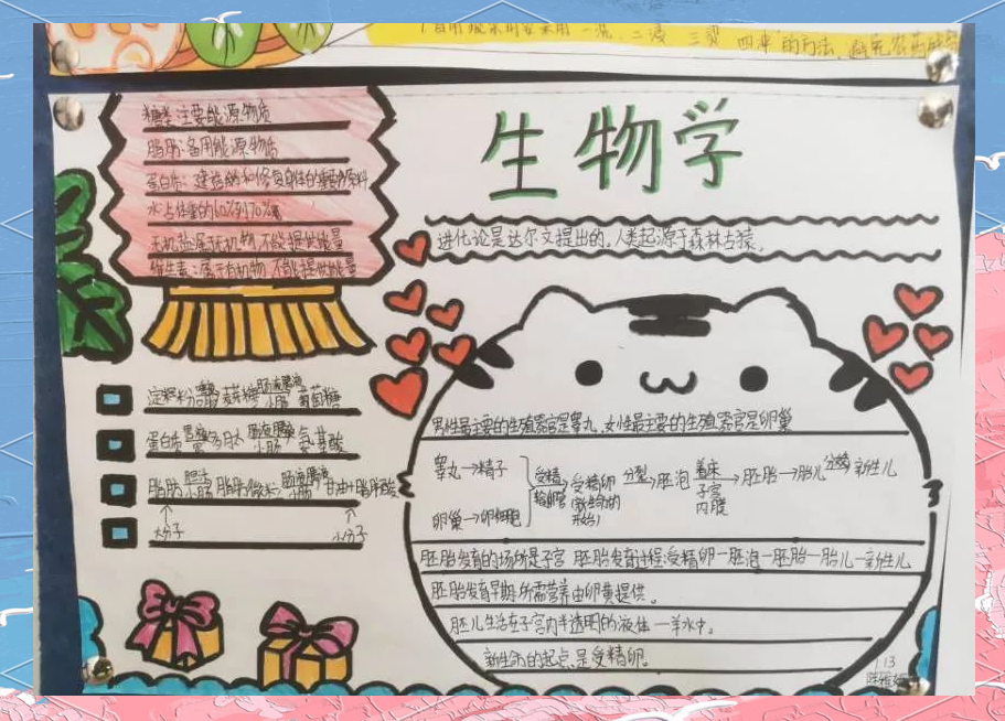 初一学生生物手抄报展览的魅力探索与成果