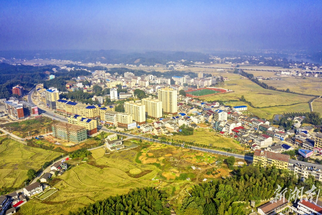 大栗港镇:茶香朱溪生态靓 竹韵安宁文旅兴
