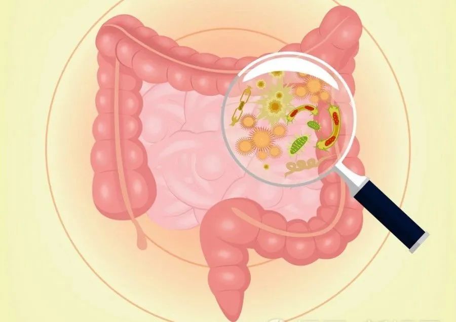 "揪出"大肠癌:别小看"大便隐血试验"