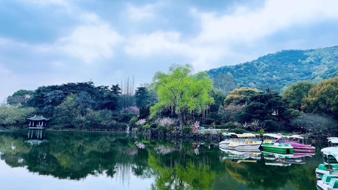 惠山古镇景区通告
