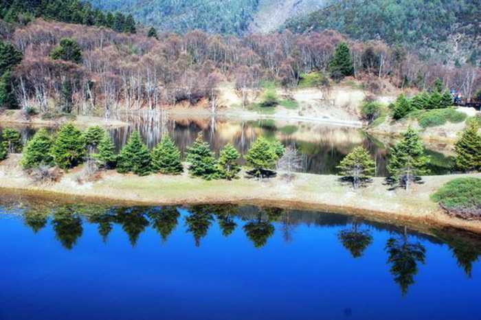 三木—森,三金—鑫的森鑫森林公园