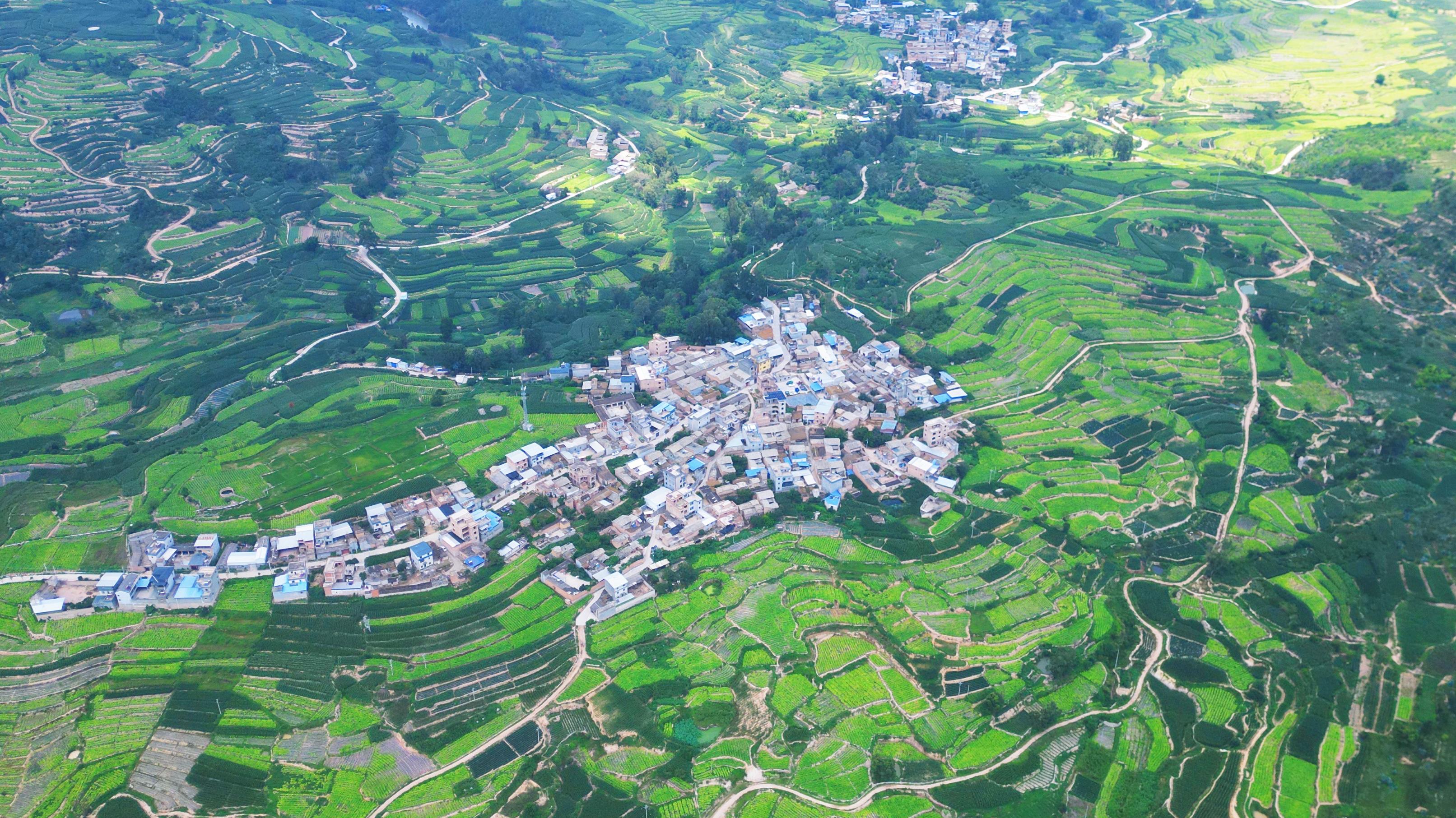 千城胜景|玉溪江川:阡陌梯田稻花香
