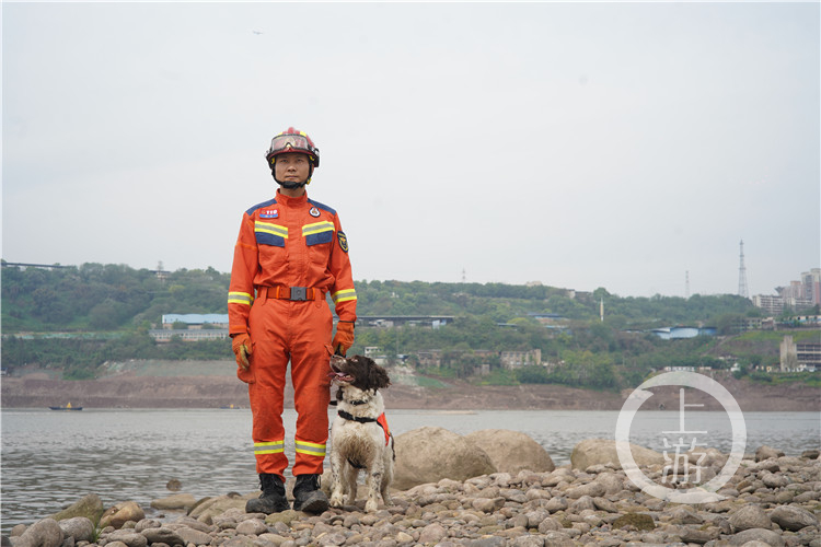 搜救犬海啸图片