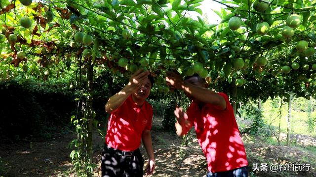 致富门路100种方法视频播放大全下载安装的简单介绍