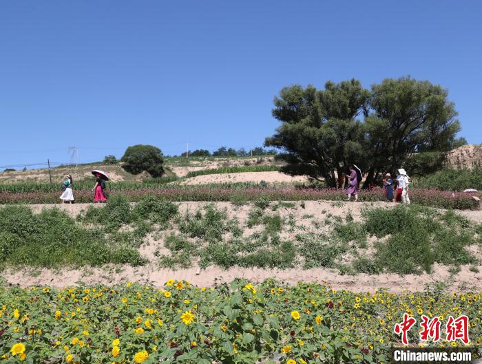 宁夏固原:乡村美景引游人