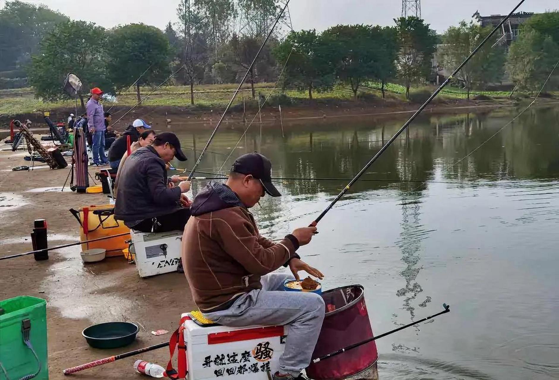 桐泾公园钓鱼图片