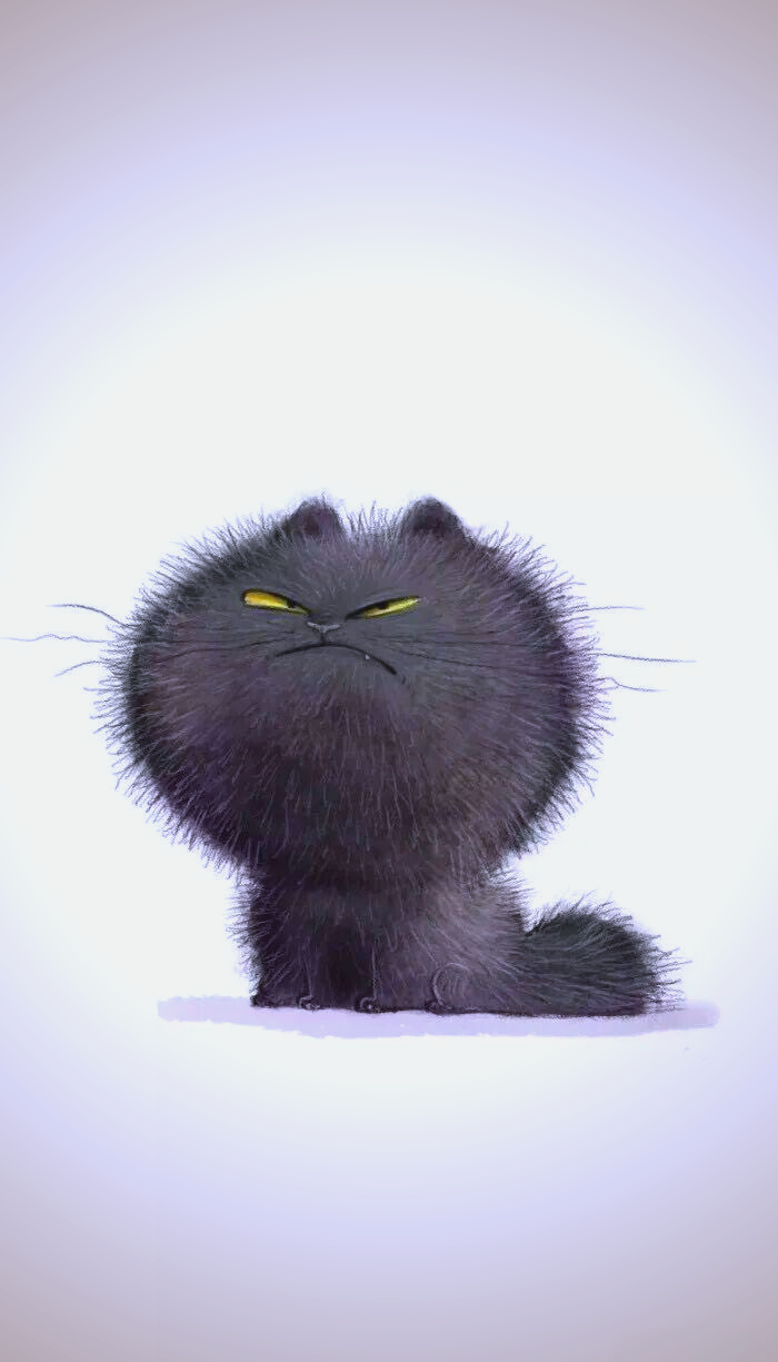 猫咪领地与情绪:解读炸毛现象与健康维护