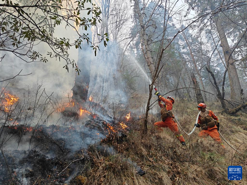 四川康定森林火灾明火已扑灭 雅江仍有断续火线