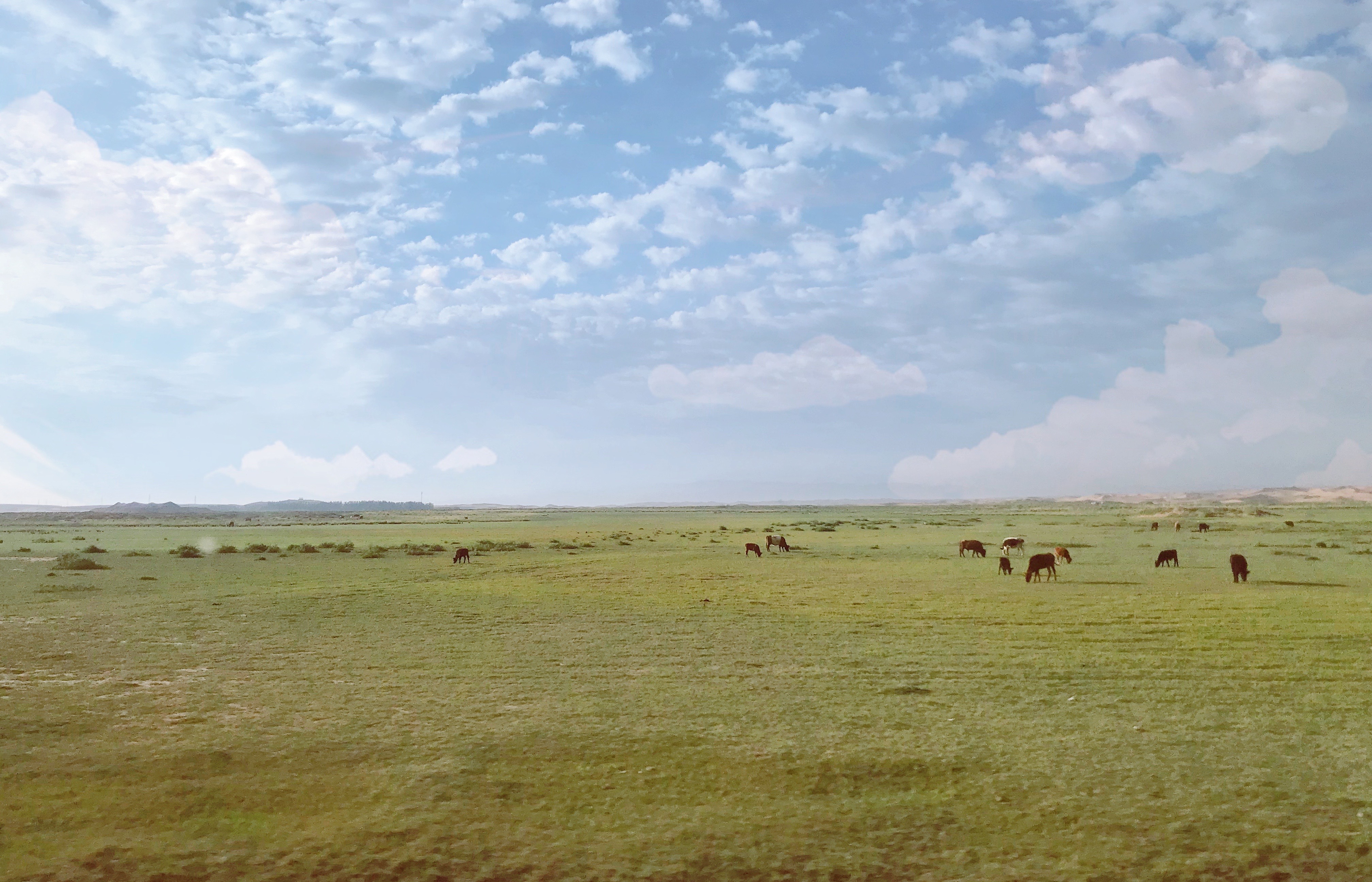 西北神奇之地,完全没有受到疫情影响,沙漠,草原这里都有