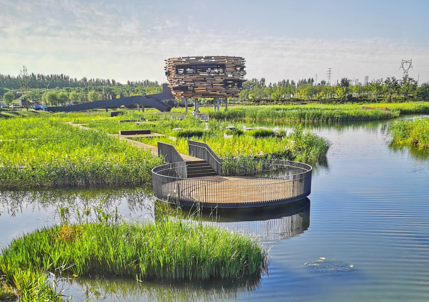 温榆河公园,通讯员张正晔摄