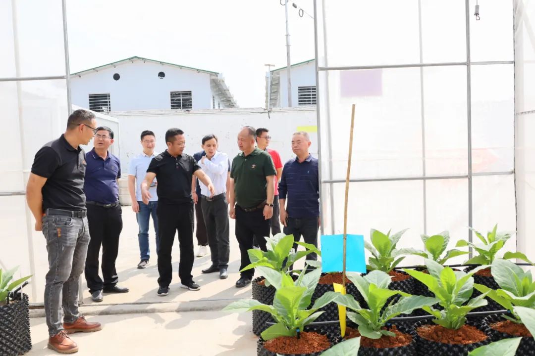 德宏州人大常委会主任李正环到瑞丽调研乡村振兴工作