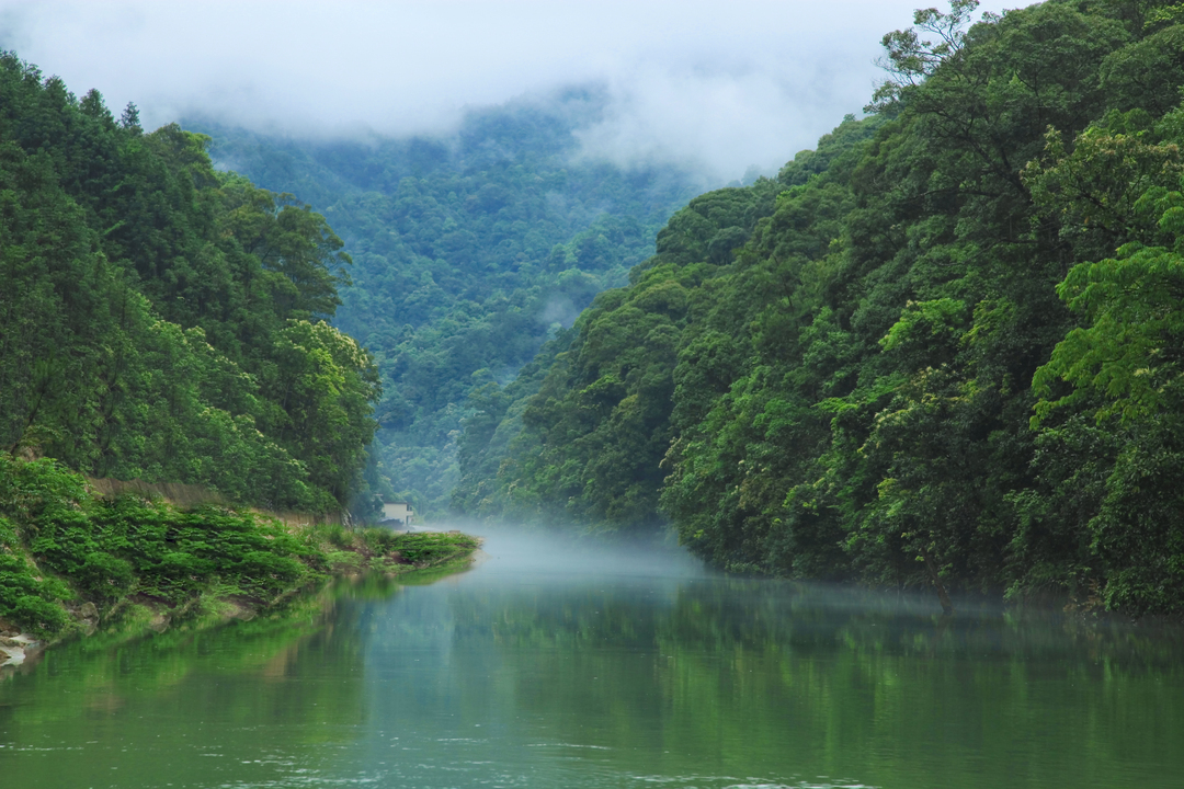 青山绿水展芳华