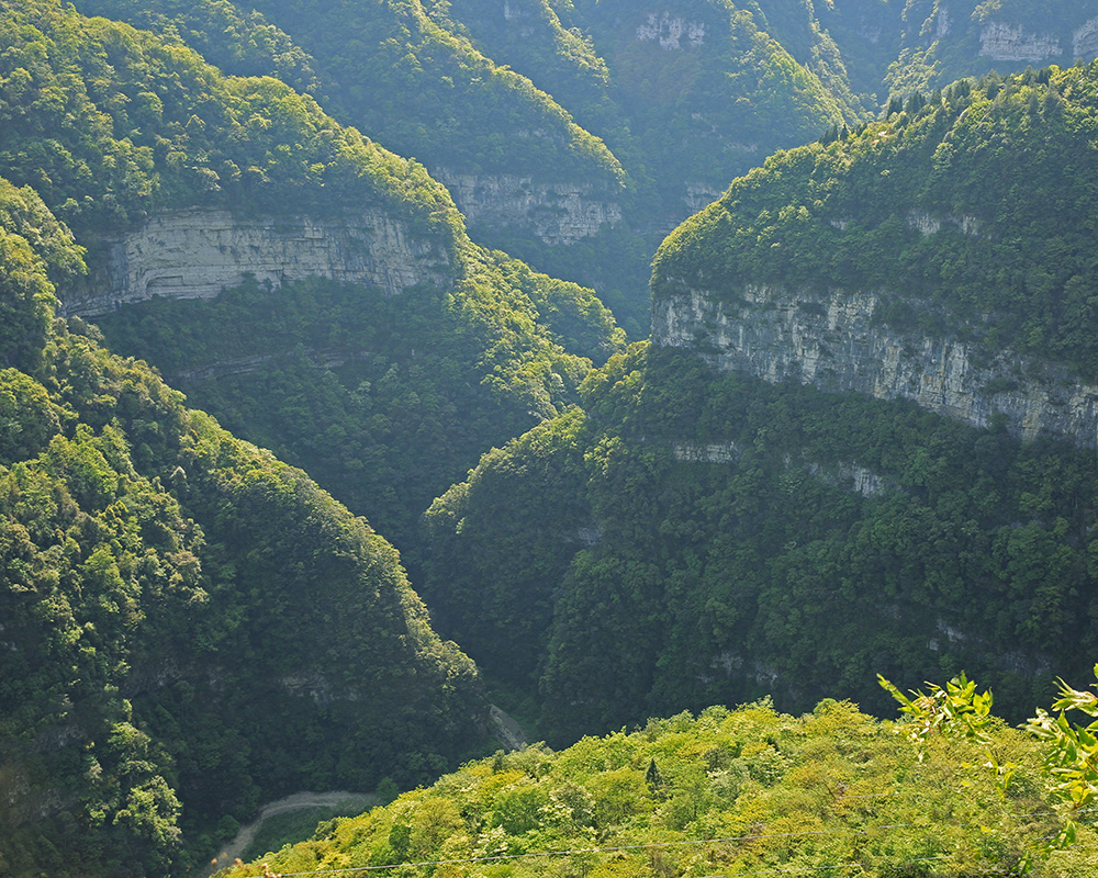 南川天山坪大峡谷简介图片