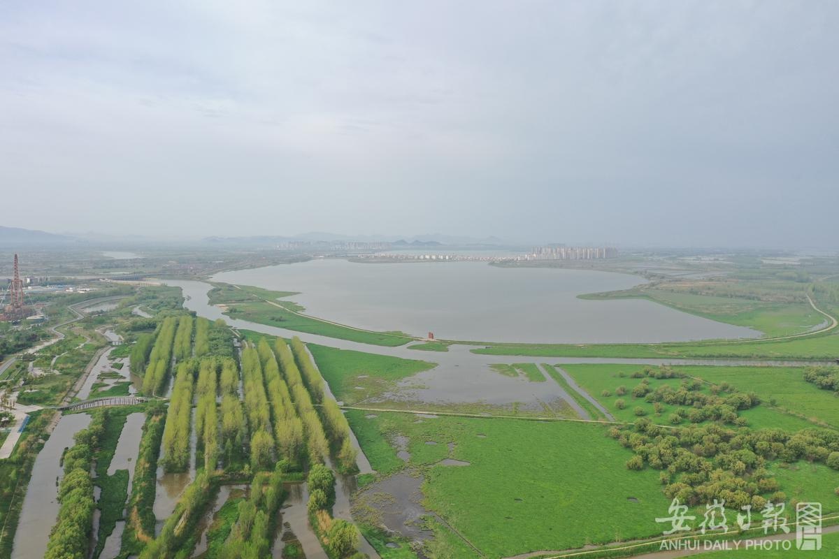 安徽芜湖:十里江湾湿地美