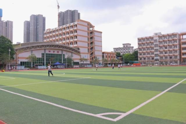 刷新全市最优成绩!桂城桂江一中女子篮球队获省赛大奖