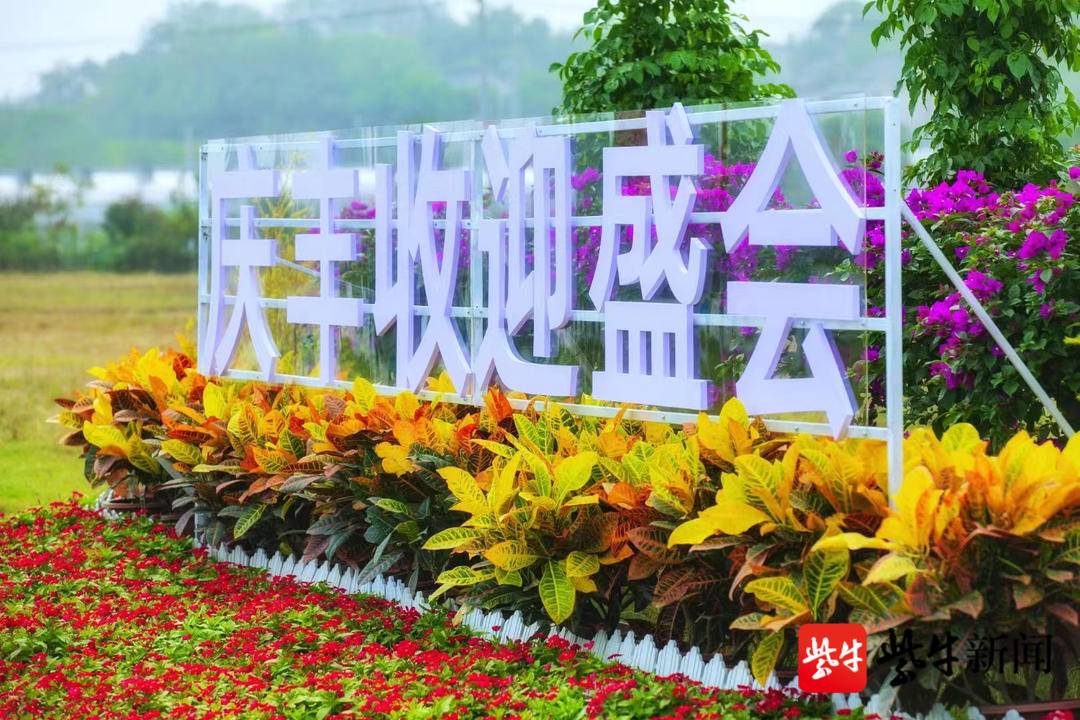 以花为伴 嗨玩不同主题 南京江宁台创园成长假全家游"宝藏"打卡地