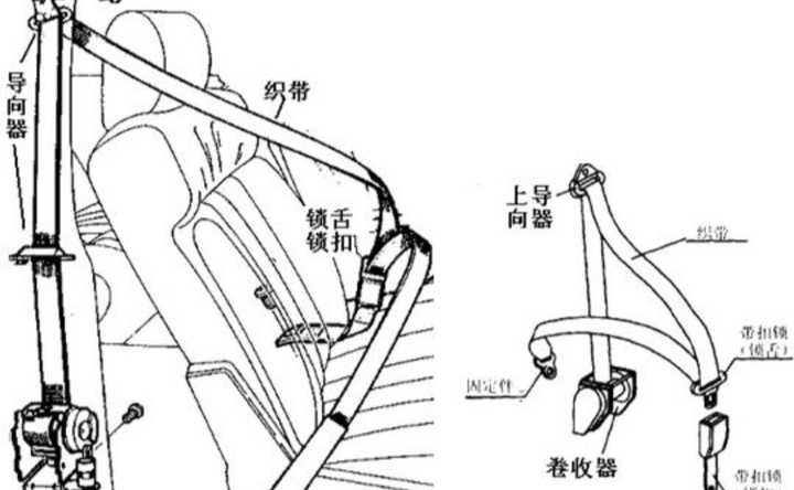 汽车后排的安全带有必要吗?