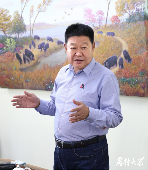 "固执"的张训照:发展背后的"慢生长"