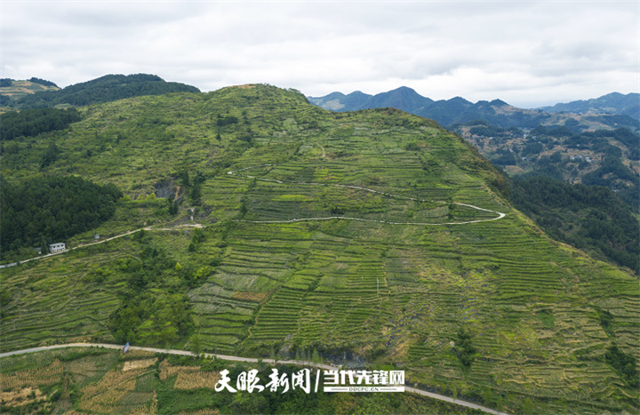 绥阳县太白镇图片