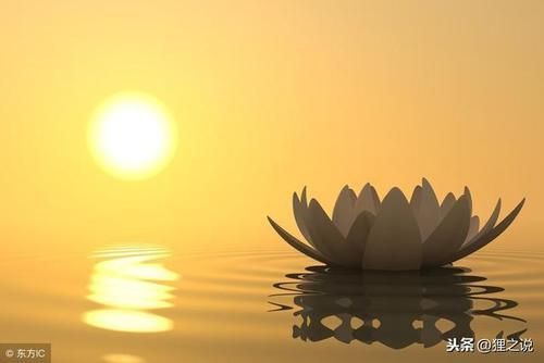 璟美国际:不用怕,你真正坚持,用心地做一件事,时间会看得见