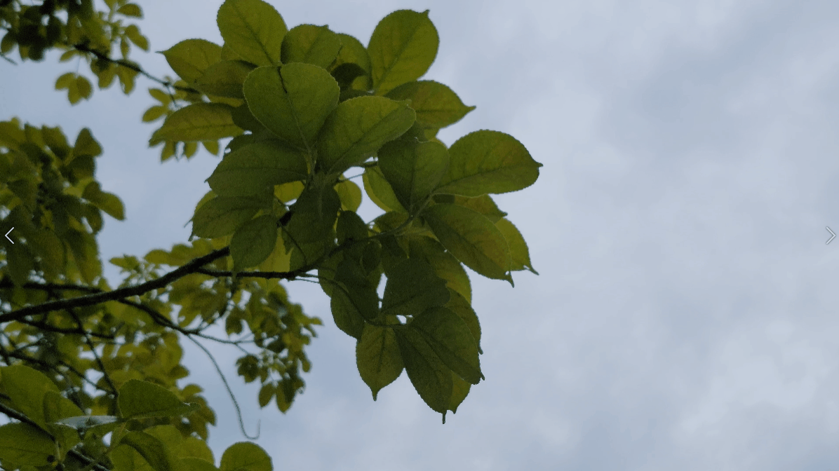 高级又与众不同,三星galaxy s21 ultra 5g导演视角拍出不一样的vlog