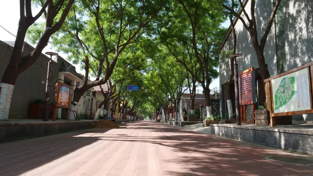 【醉美武强】云游周窝音乐小镇