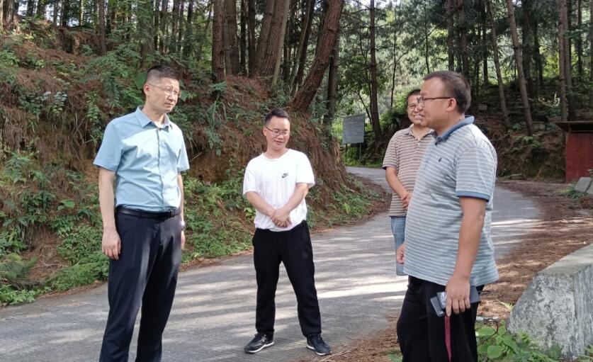 和美城乡 四大行动|丹寨县委常委,县委办主任黄东琳到排调镇调研督导