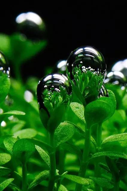 水滴世界,晶莹剔透的清凉!