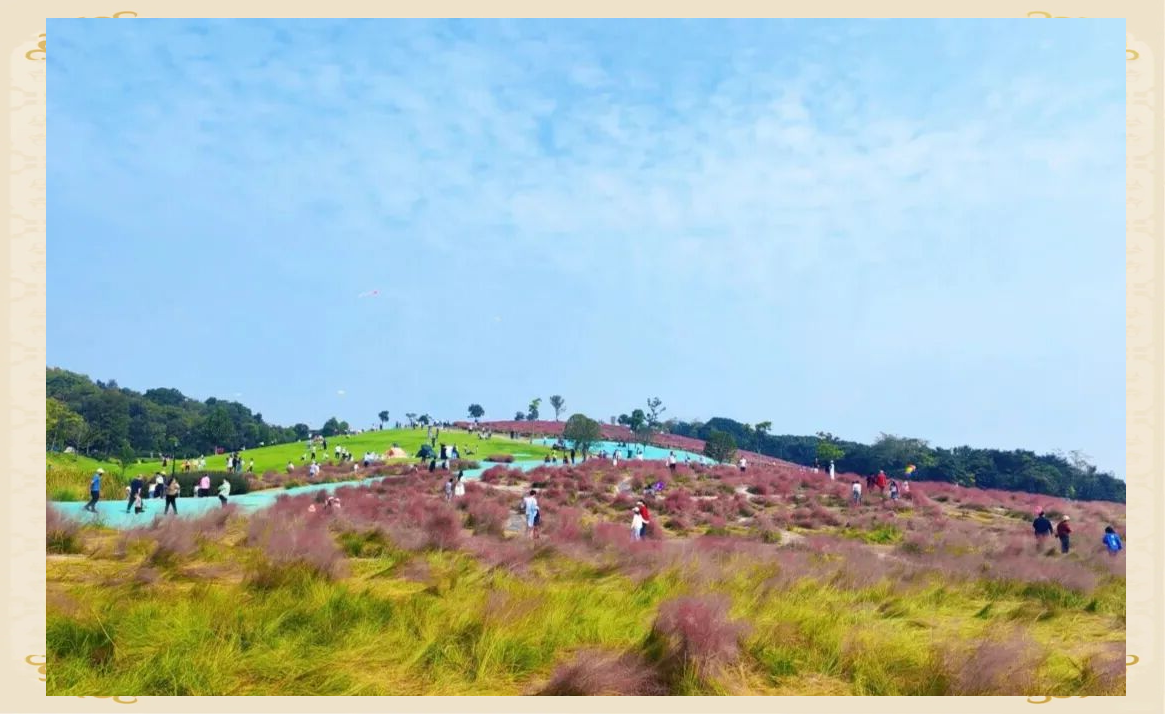 武汉光谷二妃山:粉色花海与城市天际线的浪漫邂逅