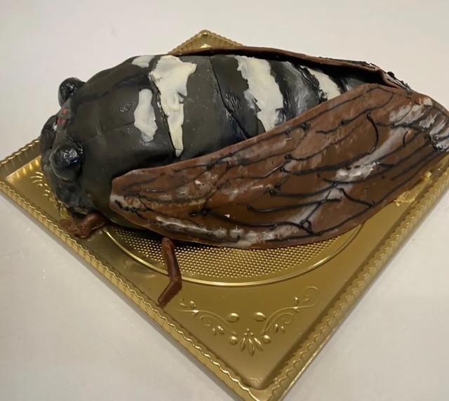 日本妈妈做的奇葩生日蛋糕,网友:看完一时我也说不上话