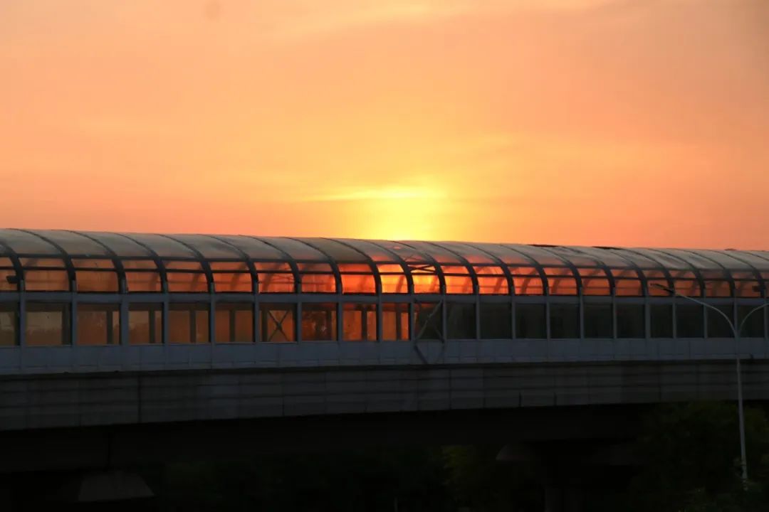 张嘉 (6).jpg