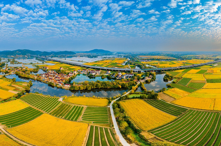 安徽宣州:"丰"景正酣