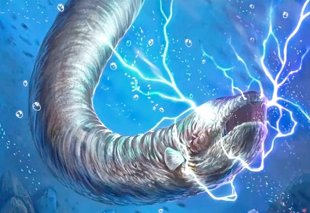 电鳗的惊人电击能力:为何能电死鳄鱼却只能电晕成年人?