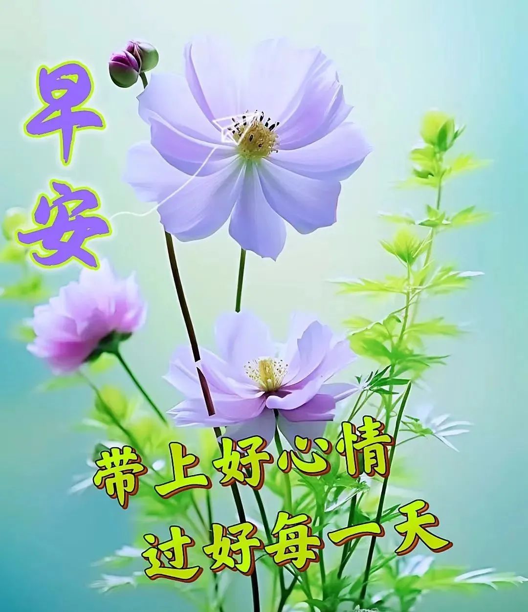 7月30日周日早上好