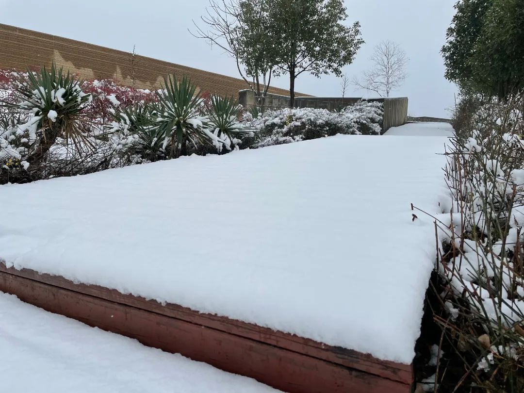 荆州雪景图片图片