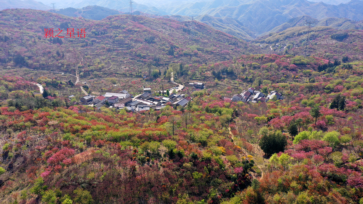 宁波横溪古道图片