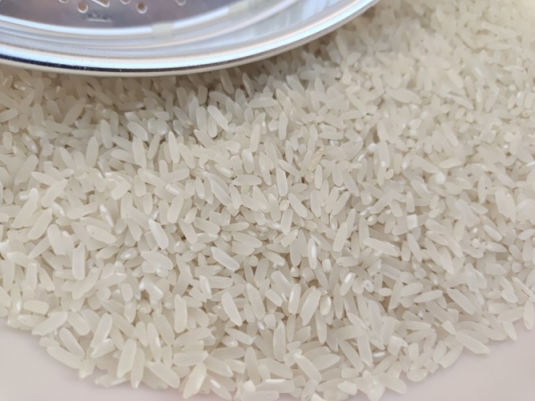 吾稻"南"来香自远——巴巴多斯在湖南援助下种出第一株稻子的故事