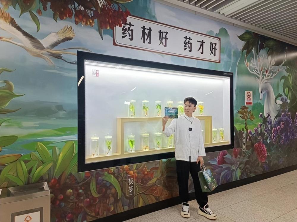 展现传统药材之美,"标本墙"亮相郑州地铁站