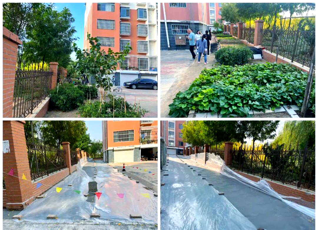 东湖花园小区路面硬化行动与社区愿景
