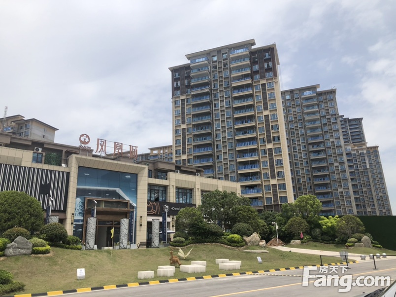 碧桂园凤凰城新拍现场图片,实时了解楼盘新动态!