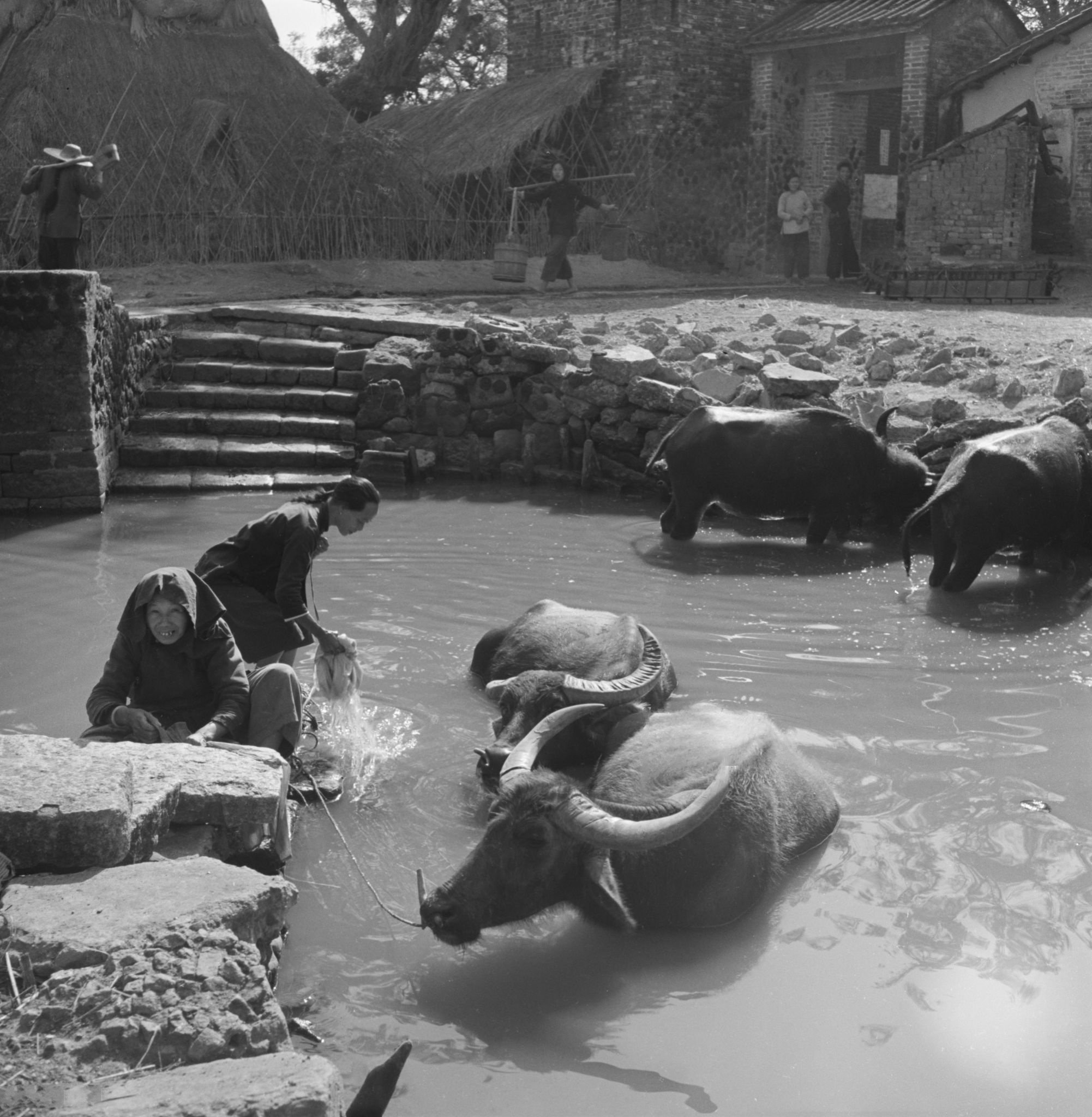 50年代的中国老照片(3)