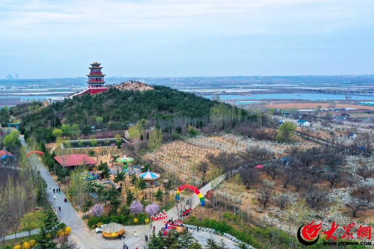 省级休闲农业精品园区典型案例——昌邑市饮马镇休闲农业园区