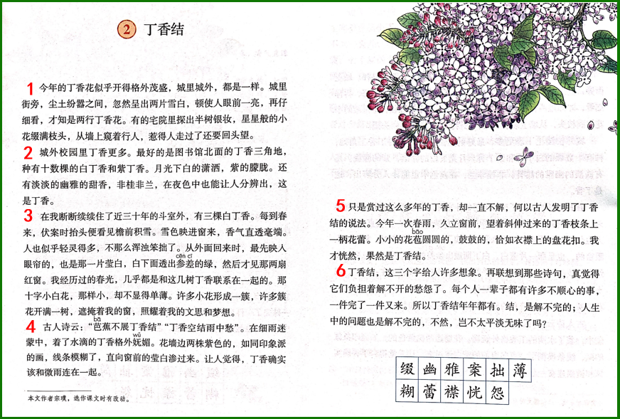 学习《丁香花》第一课时,梳理文章脉络,通过想象感受丁香的美