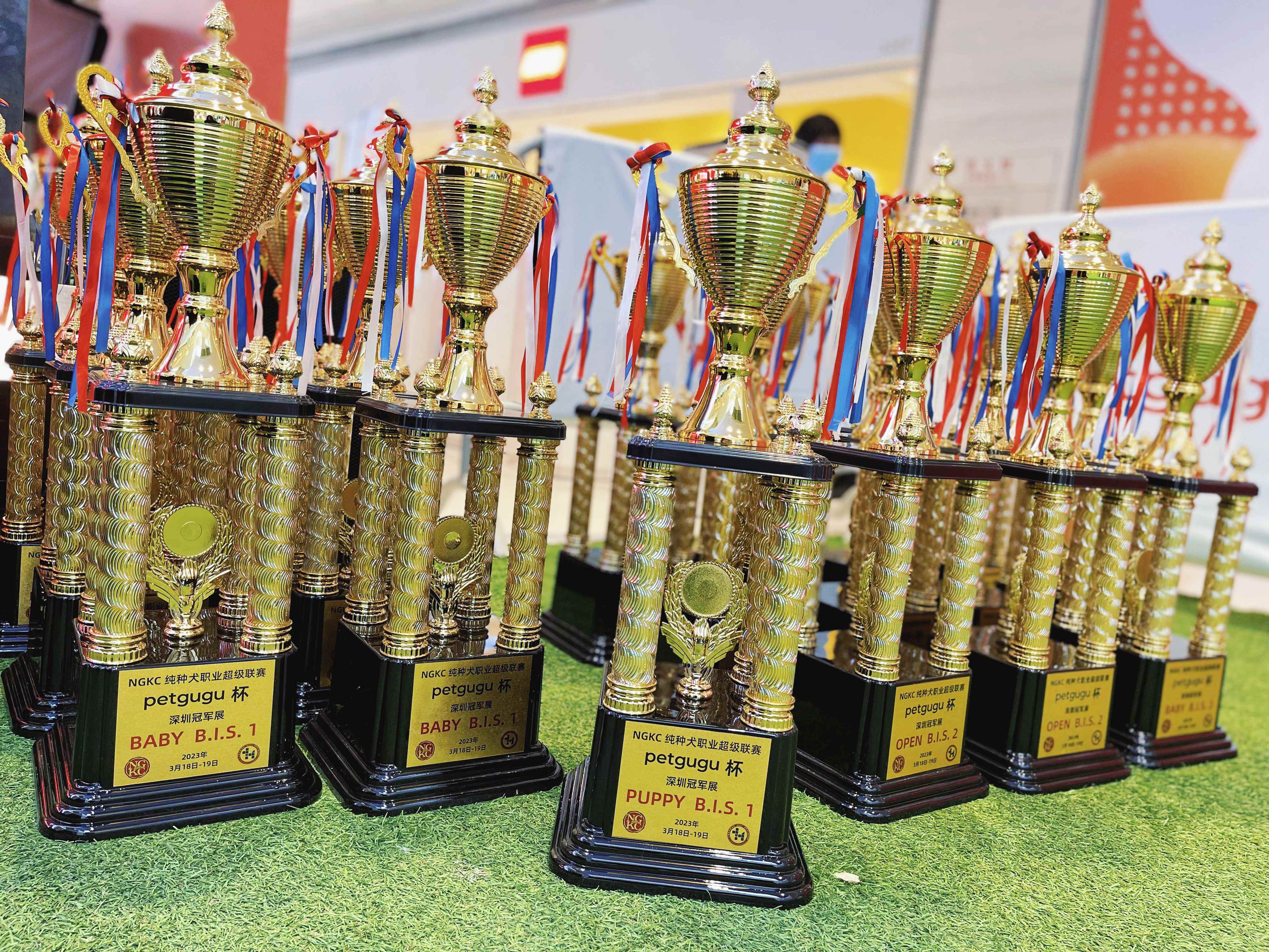 "petgugu杯"ngkc纯种犬职业超级联赛完美收官