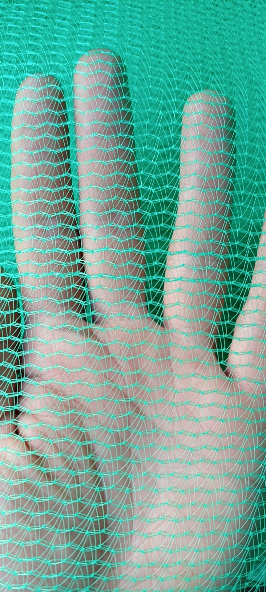 石林安全网兜网;石屏安全网兜网;屏边安全兜网;丘北安全网兜网