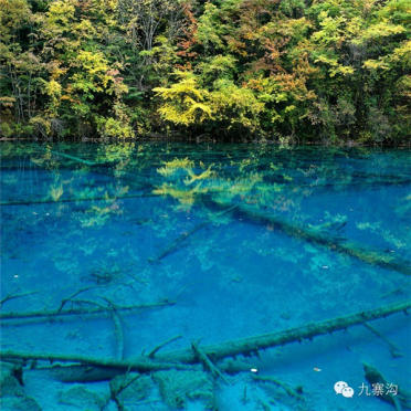 九寨沟景区详解湖水斑斓水色成因：自然形成、并非被污染