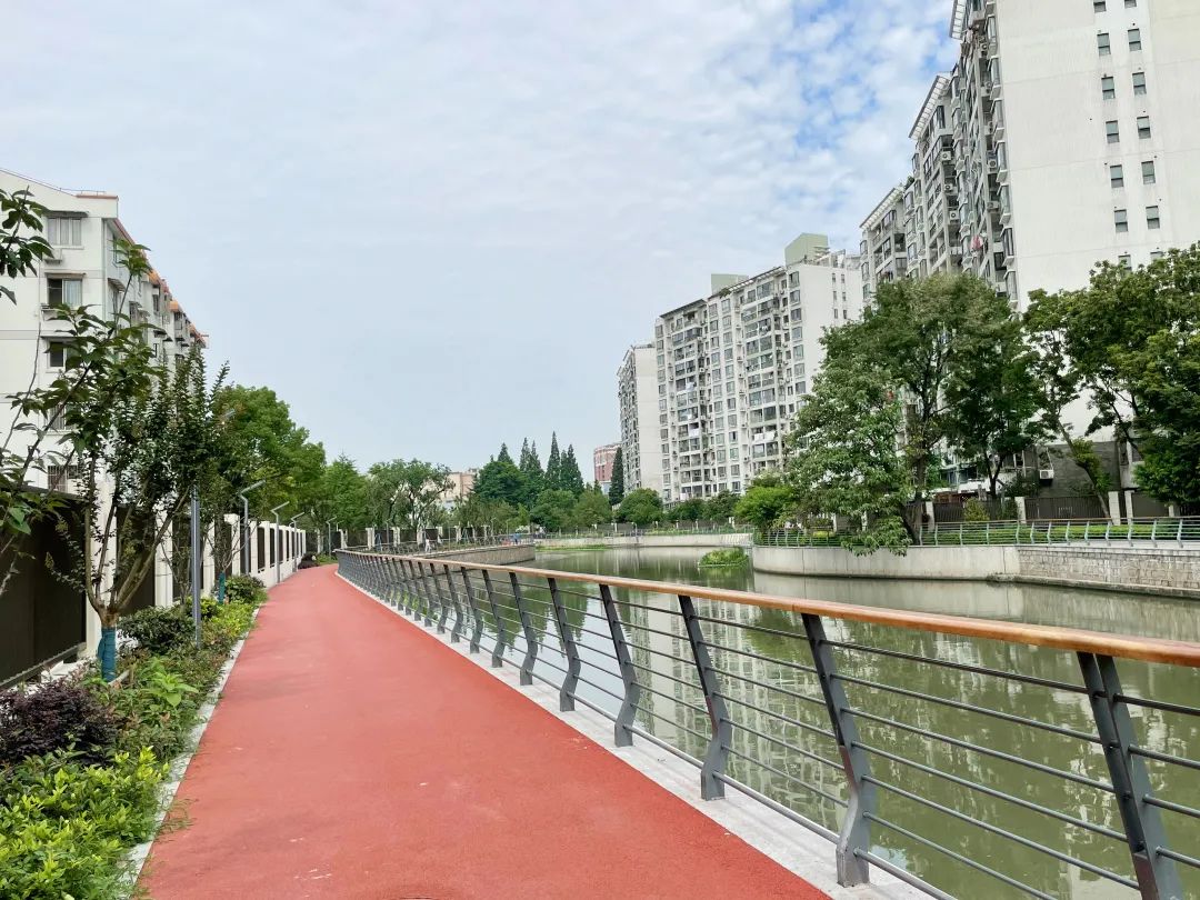 「提示」龙华港右岸部分岸线建成开放