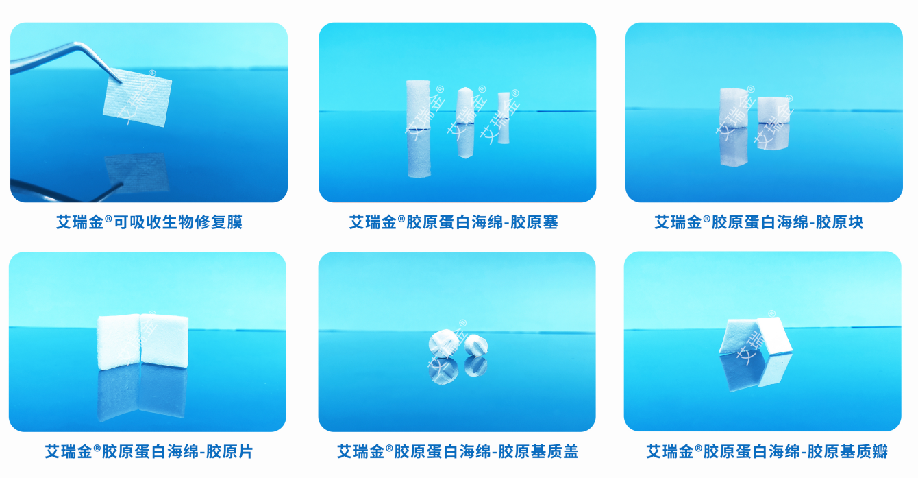 艾瑞金胶原蛋白海绵
